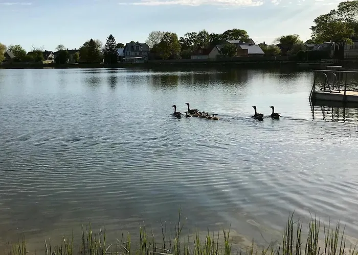 Apartament Hapsalutely Great - In Full Authenticity *